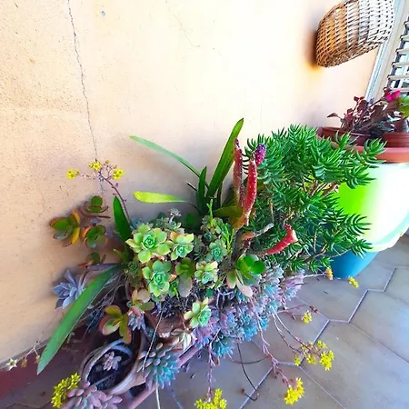 Casa Anna - Chiaiolella Beach Apartment
